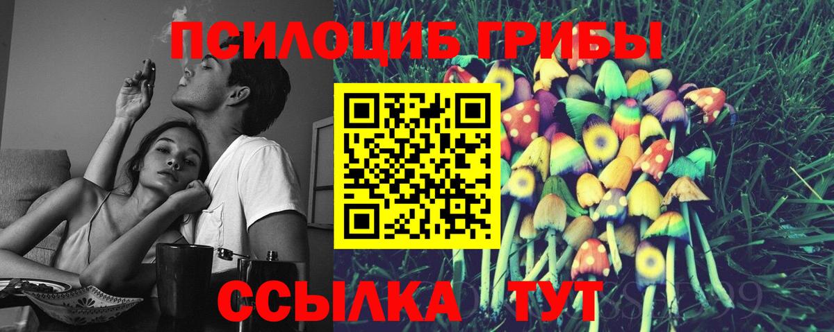 Коряжма  Галлюциногенные грибы Cubensis  Вход с VPN  Галлюциногенные грибы Cubensis 