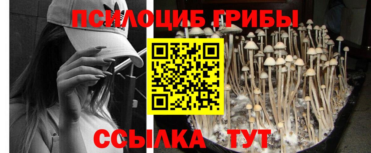 Галлюциногенные грибы MAGIC MUSHROOMS Коряжма